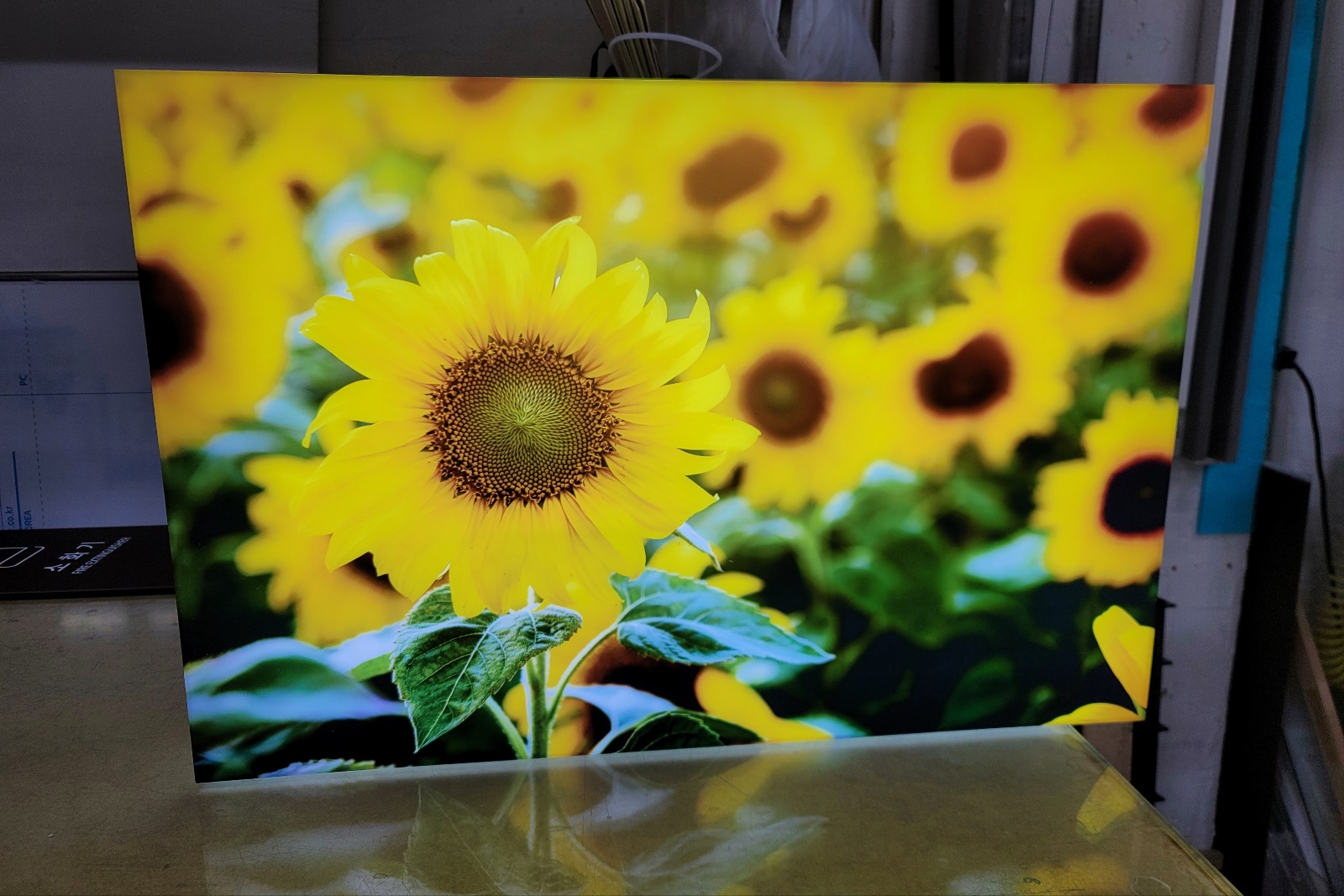 1948697120_Fl0sUKMx_9324dc3d75d21ca3f4277c147f35443227018017.jpg 이미지크게보기